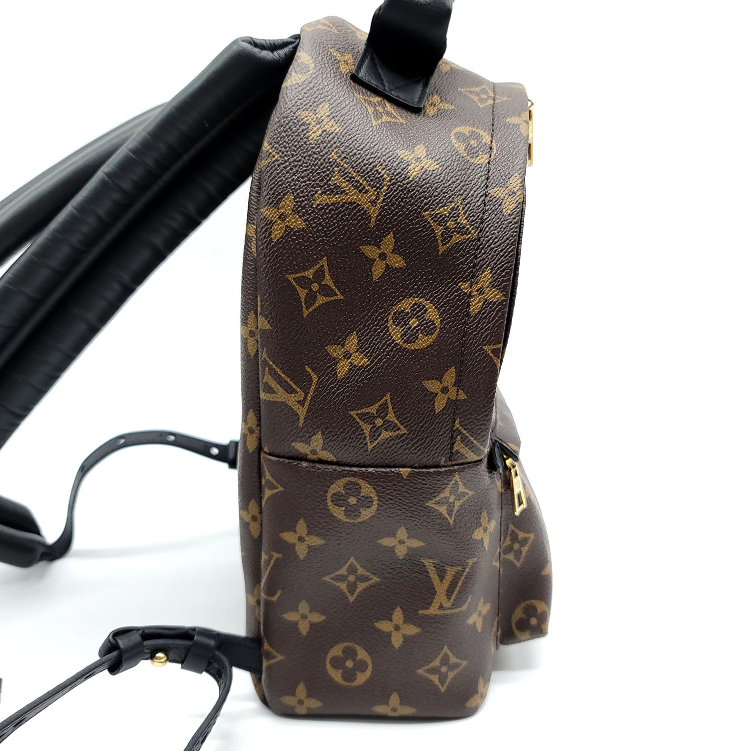 Louis Vuitton Monogram Palm Springs PM Backpack Bag with DB For Sale at  1stDibs