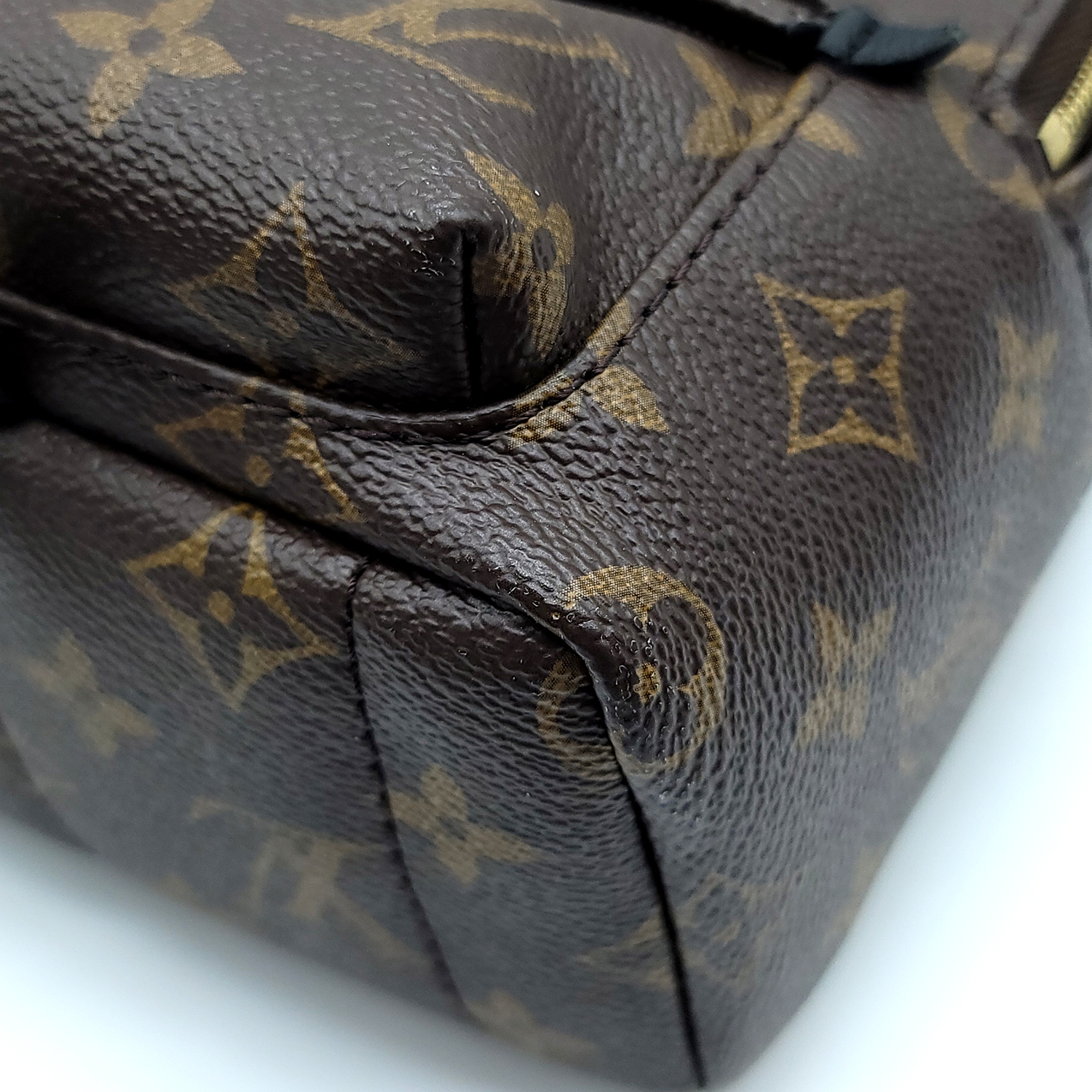 Louis Vuitton Palm Springs Mini Monogram – The Luxury Shopper