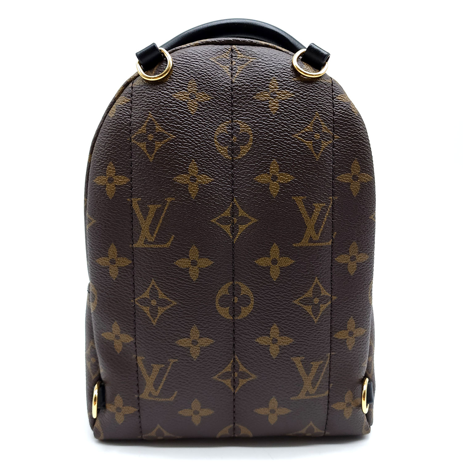 Louis Vuitton Monogram Mini Palm Springs — Restyled By Erin