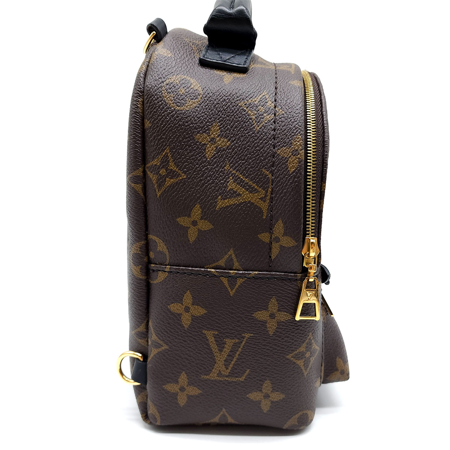 Louis Vuitton Palm Springs Mini Monogram – The Luxury Shopper