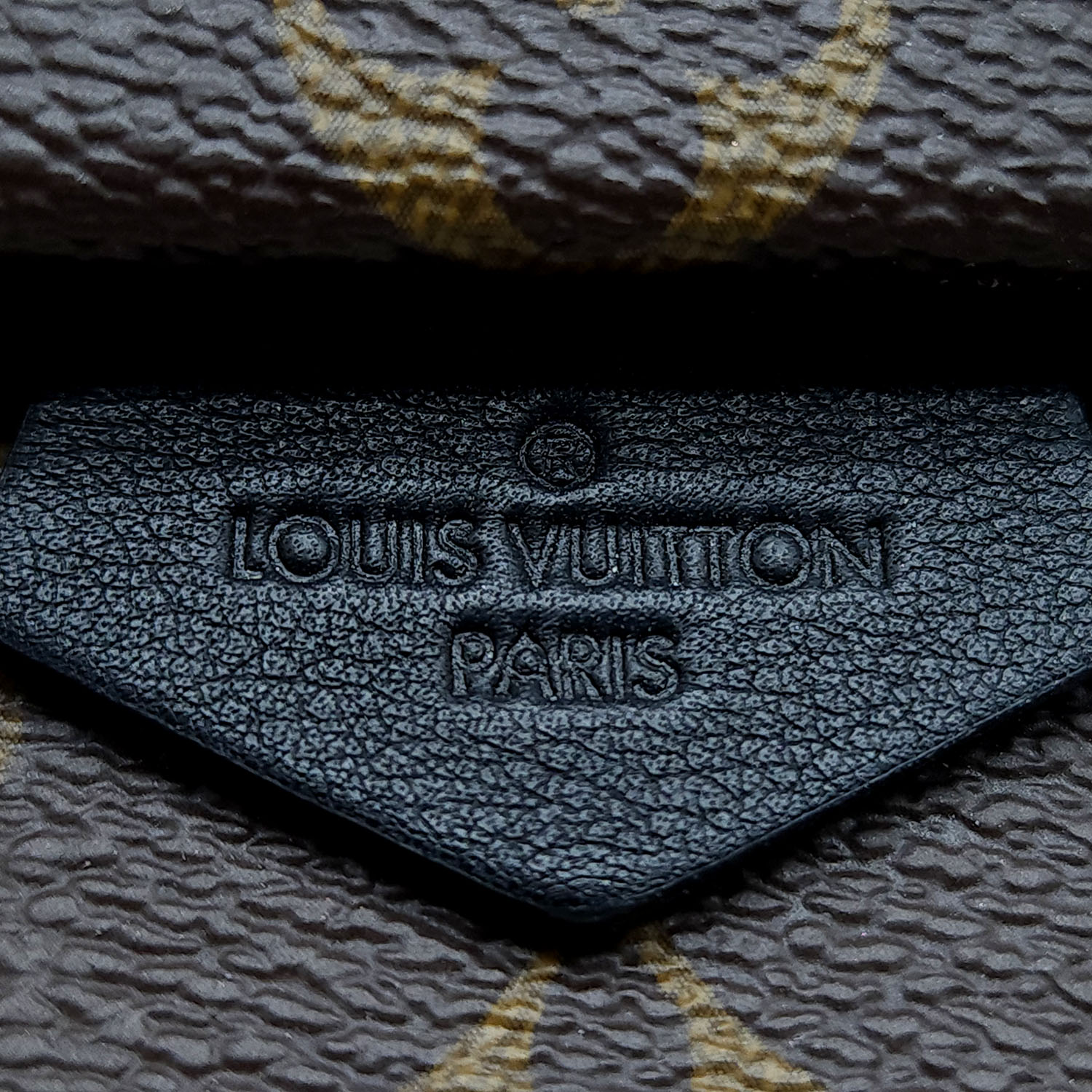 Louis Vuitton Palm Springs Mini Monogram – Dr. Runway